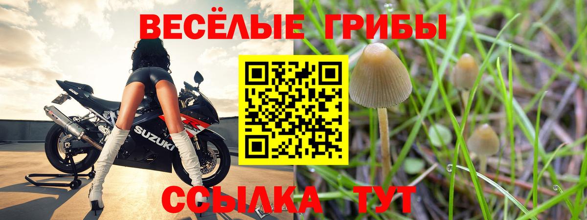 Кстово  Псилоцибиновые грибы мухоморы  Вход с VPN 